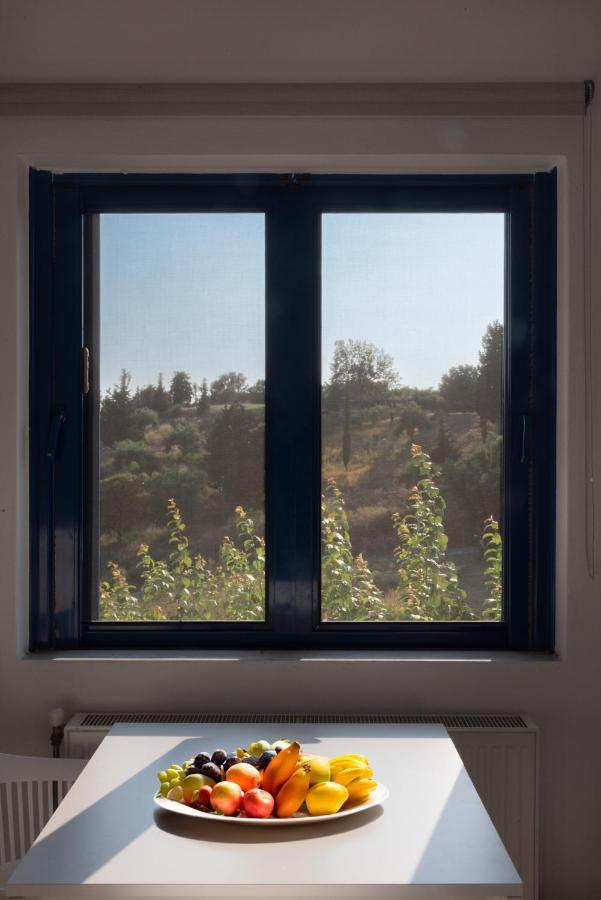 Country house Rodanthi Sivota (Epirus)